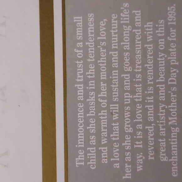 Avon Rare 1995 Vintage Mother's Day Plate in Original Box Rare Oversized Plate - Picture 7 of 10